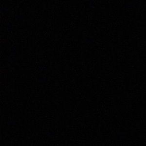 Meet your Posher, Bruno